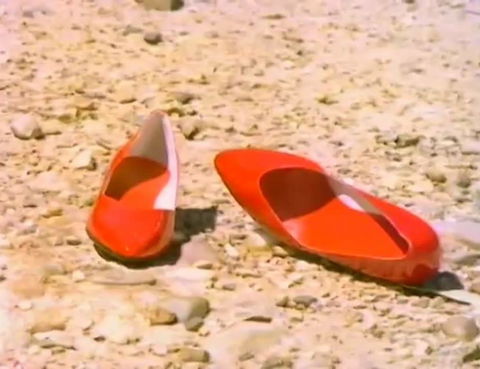 Let's Dance Carinda: David Bowie Tribute Festival - Goulburn Accommodation 0