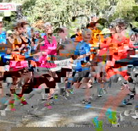 MAAS Group Dubbo Stampede Running Festival - Goulburn Accommodation