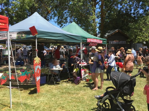 Macclesfield Strawberry Fete - Goulburn Accommodation 1