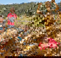 Mini Muddies Obstacle Challenge at Bunnamagoo Estate - Goulburn Accommodation