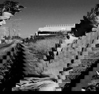 Music in the Gardens - Mitch King - Goulburn Accommodation