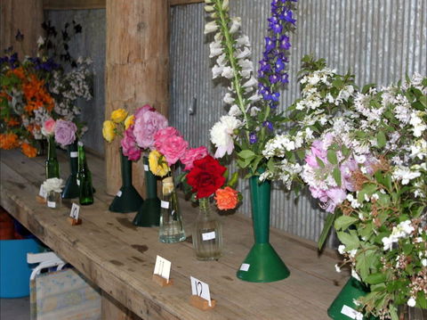 Neville Show - Goulburn Accommodation 0