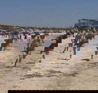 Perlubie Beach Sports Day - Goulburn Accommodation