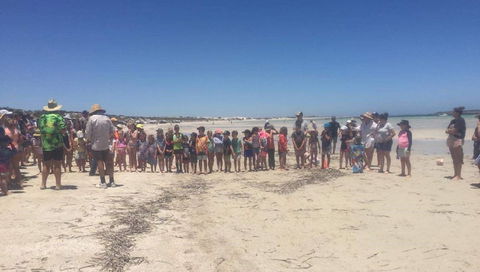 Perlubie Beach Sports Day - Goulburn Accommodation 1