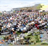 Riverfest Food Wine and Music Festival - Goulburn Accommodation