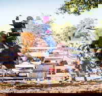 Theodore Bulls 'n' Barrels Bonanza - Goulburn Accommodation