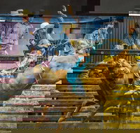 Top Gun and Young Gun Series Round 9 - Goulburn Accommodation