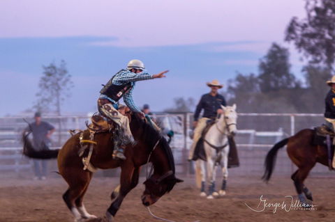 Walgett Charity Bushman's Carnival Rodeo And Campdraft - Goulburn Accommodation 1
