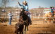 Walgett Charity Bushman's Carnival Rodeo And Campdraft - thumb 2