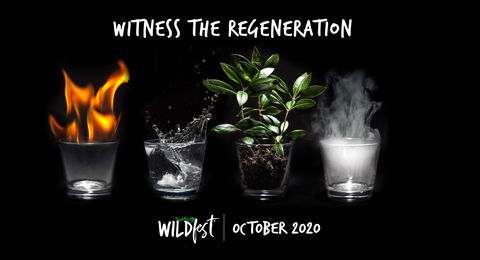 Wildfest - Annual Festival - Goulburn Accommodation 0