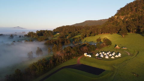 Wildfest - Annual Festival - Goulburn Accommodation 1