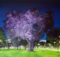 Adelaide Parklands Art Prize  Finalists Exhibition  Sale 2020 - Goulburn Accommodation