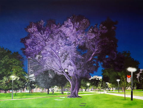 Adelaide Parklands Art Prize  Finalists Exhibition & Sale 2020 - Goulburn Accommodation 0