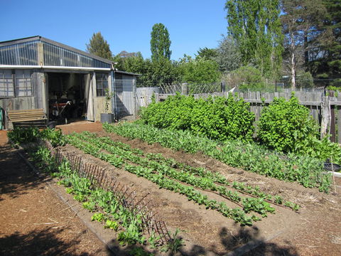 All Season Cold Climate Organic Vegetable Growing - Goulburn Accommodation 1