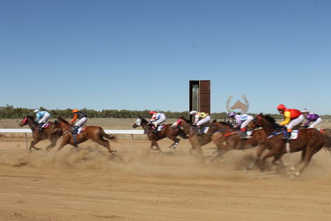 Annual Prairie Races - Goulburn Accommodation 1