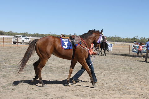 Annual Prairie Races - Goulburn Accommodation 2