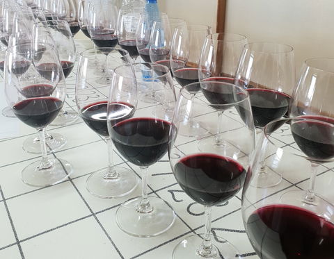 Australian Cool Climate Wine Show - Goulburn Accommodation 1