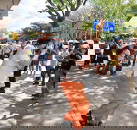 Australian National Busking Championships - Goulburn Accommodation