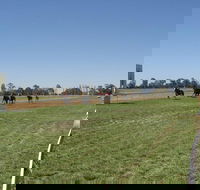 Balranald Races -Derby Day - Goulburn Accommodation