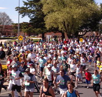 Bathurst Edgell Jog - Goulburn Accommodation