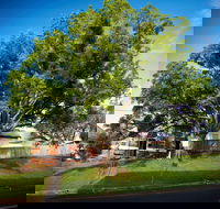 Big Bat Wildlife and Eco Festival - Goulburn Accommodation
