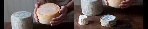 Cheese Making Basics Class - Goulburn Accommodation 0