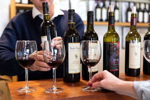 Coonawarra Cellar Dwellers - Goulburn Accommodation 2