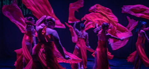Darwin Fringe Festival - Goulburn Accommodation 1