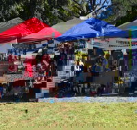 Dogs in the Park Shell Harbour - Goulburn Accommodation