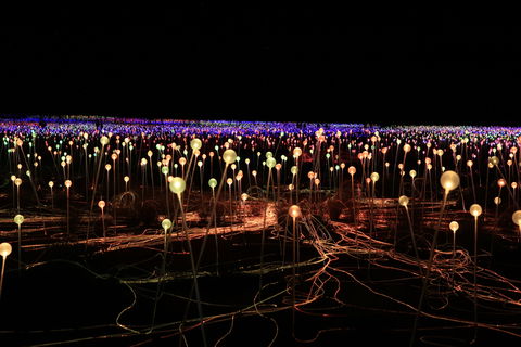 Field Of Light Uluru - Goulburn Accommodation 1