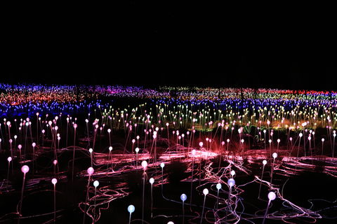 Field Of Light Uluru - Goulburn Accommodation 2