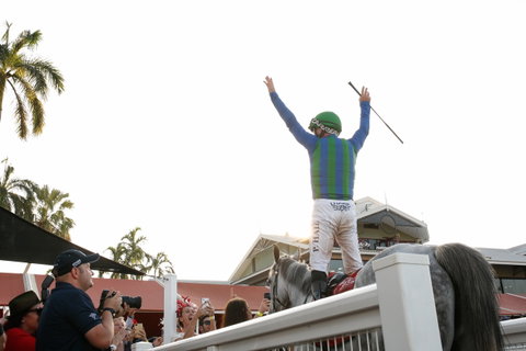 Great Northern Darwin Cup Carnival - Goulburn Accommodation 1