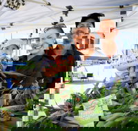 Greater Whitsunday Farmers Markets - Goulburn Accommodation