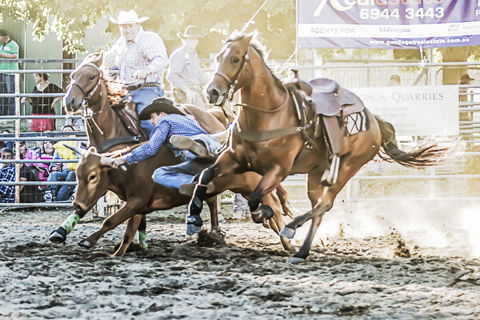 Gundagai Rodeo - Goulburn Accommodation 0
