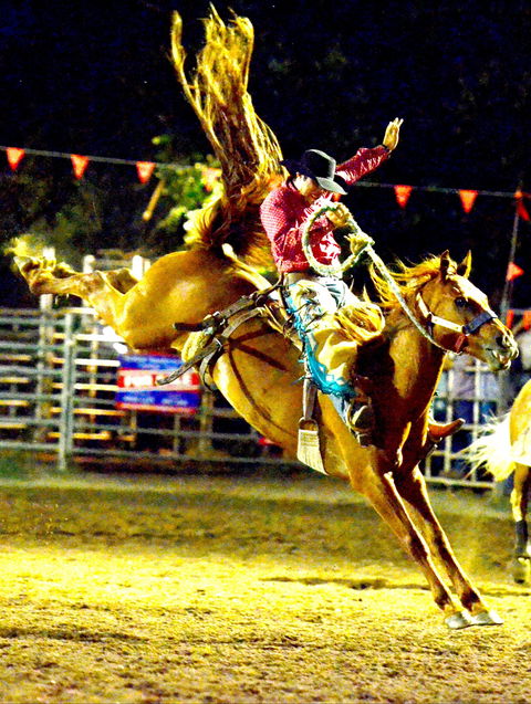 Gundagai Rodeo - Goulburn Accommodation 1