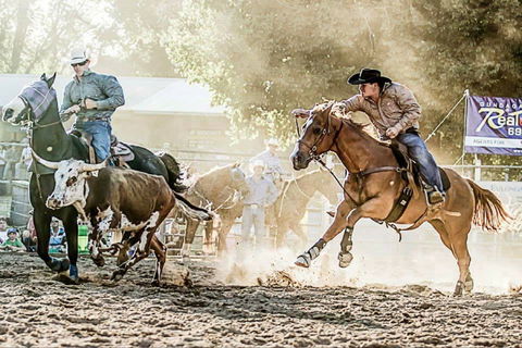 Gundagai Rodeo - Goulburn Accommodation 2