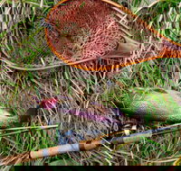 Guyra TroutFest - Goulburn Accommodation