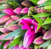 Harvest Launceston Community Farmers' Market - Goulburn Accommodation