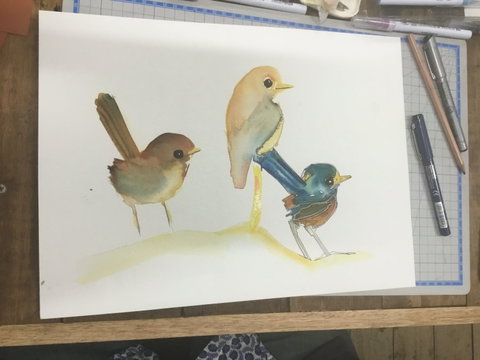 Ink & Watercolour Wash Illustration Workshop - Goulburn Accommodation 0