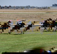 Jerilderie Gold Cup Races - Goulburn Accommodation