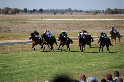Jerilderie Gold Cup Races - Goulburn Accommodation 0