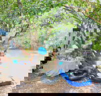 Jungle Love Festival - Goulburn Accommodation