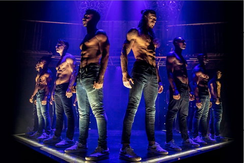 MAGIC MIKE LIVE - Goulburn Accommodation 0