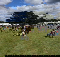 Majors Creek Festival - Goulburn Accommodation