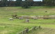 Mount Gambier And District Pony Club Horse Trials 2020 - thumb 0