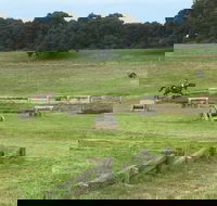Mount Gambier and District Pony Club Horse Trials 2020 - Goulburn Accommodation