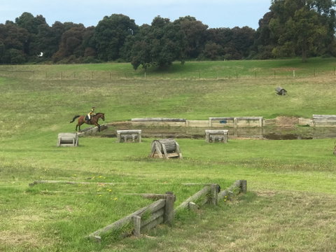 Mount Gambier And District Pony Club Horse Trials 2020 - Goulburn Accommodation 0