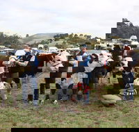 Noorat Show - Goulburn Accommodation