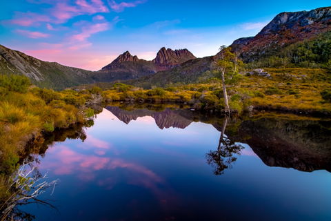 Pfeiffer Wines Photographic Exhibition - Wodonga Albury Camera Club - Goulburn Accommodation 0