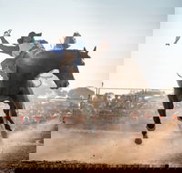 Rodeo by the Sea - Streaky Bay - Goulburn Accommodation